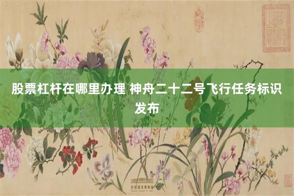 股票杠杆在哪里办理 神舟二十二号飞行任务标识发布