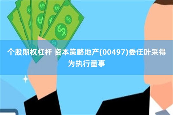 个股期权杠杆 资本策略地产(00497)委任叶采得为执行董事