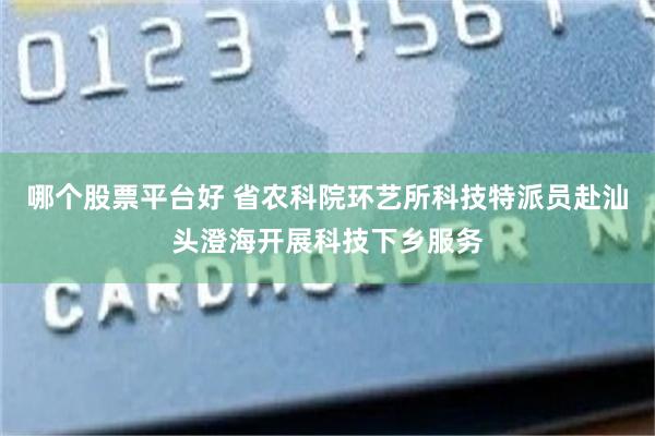 哪个股票平台好 省农科院环艺所科技特派员赴汕头澄海开展科技下乡服务