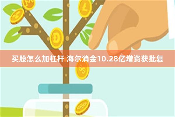 买股怎么加杠杆 海尔消金10.28亿增资获批复