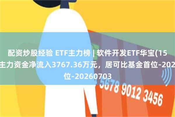 配资炒股经验 ETF主力榜 | 软件开发ETF华宝(159036)主力资金净流入3767.36万元，居可比基金首位-20260703