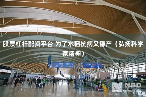 股票杠杆配资平台 为了水稻抗病又稳产（弘扬科学家精神）