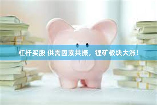 杠杆买股 供需因素共振，锂矿板块大涨！