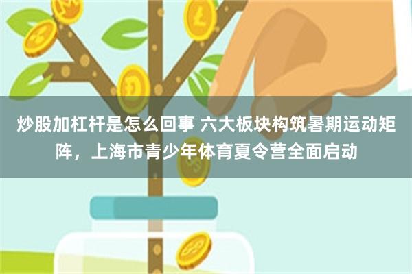 炒股加杠杆是怎么回事 六大板块构筑暑期运动矩阵，上海市青少年体育夏令营全面启动