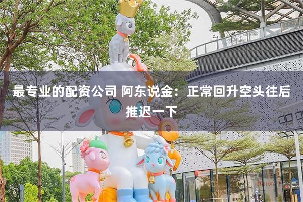 最专业的配资公司 阿东说金：正常回升空头往后推迟一下
